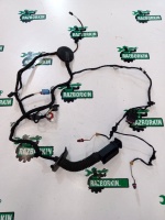 Жгут проводов двери