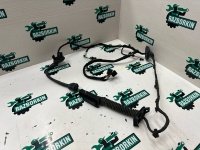 Жгут проводов двери