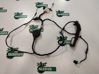 Жгут проводов двери