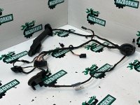 Жгут проводов двери