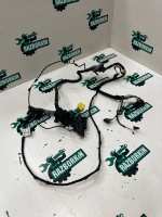 Жгут проводов двери