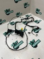 Жгут проводов двери