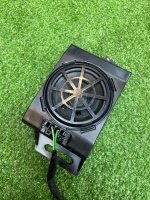 Динамик парктроника