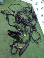 Жгут проводов