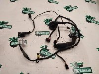 Жгут проводов двери