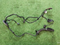 Жгут проводов двери