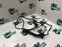 Жгут проводов двери