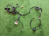 Жгут проводов двери