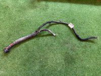 Chevrolet / Tahoe / Жгут проводов