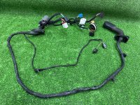 Audi / A6 / Проводка двери