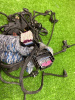 BMW / X5 / Проводка двигателя