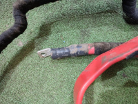 Audi / Q5 / Провод аккумулятора