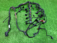 Volkswagen / Touareg / Проводка двигателя Volkswagen / Touareg / Проводка двигателя