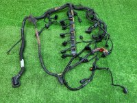 Volkswagen / Touareg / Проводка двигателя