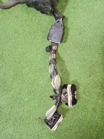 Ford / EXPLORER / Проводка двигателя