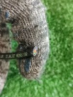 Audi / Q7 / Разъем