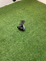 Volkswagen / Touareg / Клапан электромагнитный