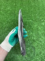 Audi / A5 / Пыльник тормозного диска