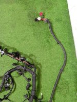 Volkswagen / Touareg / Проводка двигателя Volkswagen / Touareg / Проводка двигателя