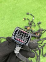 BMW / 7-Series / Проводка двигателя