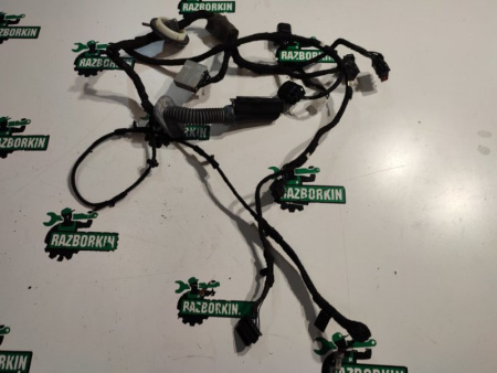Land Rover / Range Rover Sport / Проводка двери