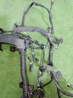 Mercedes-Benz / E-Class / Проводка двигателя