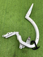 Audi / A6 / Петля крышки багажника