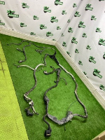 Chevrolet / Tahoe / Проводка кузова