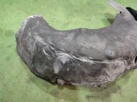 BMW / X5 / Подкрылок