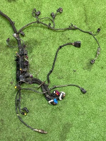 Volkswagen / Touareg / Проводка двигателя Volkswagen / Touareg / Проводка двигателя