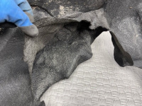 Porsche / Cayenne / Подкрылок