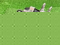 Porsche / Cayenne / Кулак поворотный