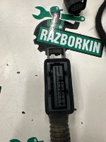 Audi / Q3 / Жгут проводов двери