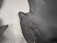 Porsche / Cayenne / Подкрылок