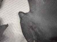 Porsche / Cayenne / Подкрылок