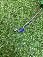 Land Rover / Range Rover / Доводчик двери багажника