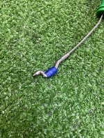 Land Rover / Range Rover / Доводчик двери багажника