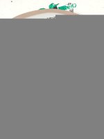 Porsche / Cayenne / Плафон подсветки салона