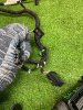 Volkswagen / Golf / Проводка двери