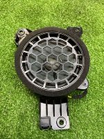 Audi / Q8 / Динамик