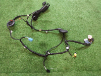 Audi / Q5 / Жгут проводов двери