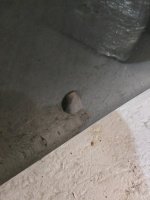 Volvo / S60 / Капот