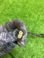 Land Rover / Range Rover / Провод панели радиатора