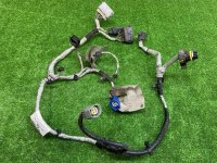 Land Rover / Range Rover / Проводка АКПП