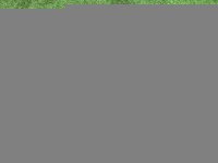 Audi / A5 / Рычаг подвески