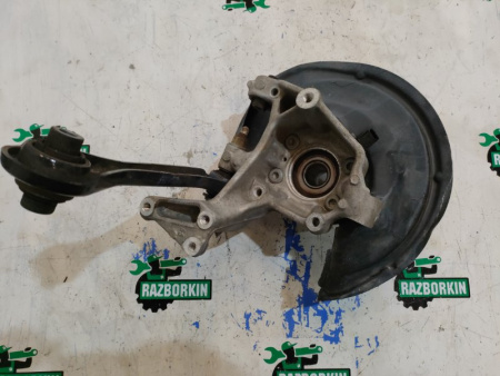 Volkswagen / Tiguan / Кулак поворотный