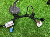 Audi / Q8 / Проводка двери