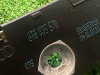 Audi / A6 / блок подавления помех