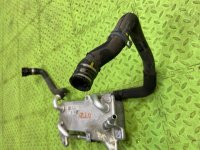 Audi / Q8 / Радиатор масляный