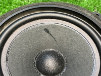 BMW / 1-Series / Динамик двери